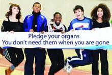 Catholic Church’s Views On Organ Donation