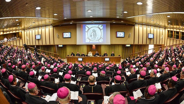 What is Synod of Bishops?